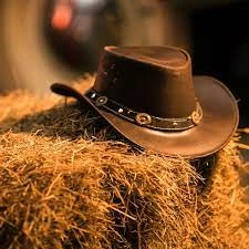 Leather Cowboy Hats