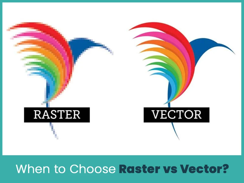 When to Choose Raster vs Vector?