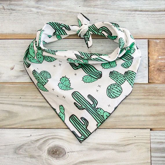 Sequin Cactus Motif on a Bandana