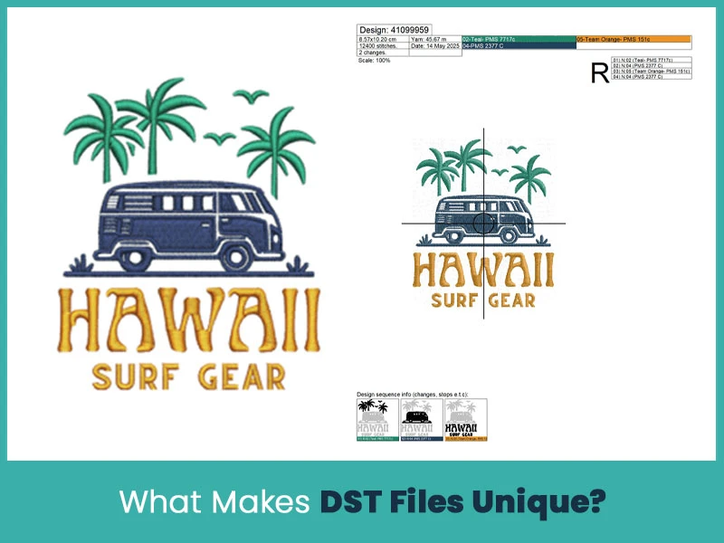 What Makes DST Files Unique?