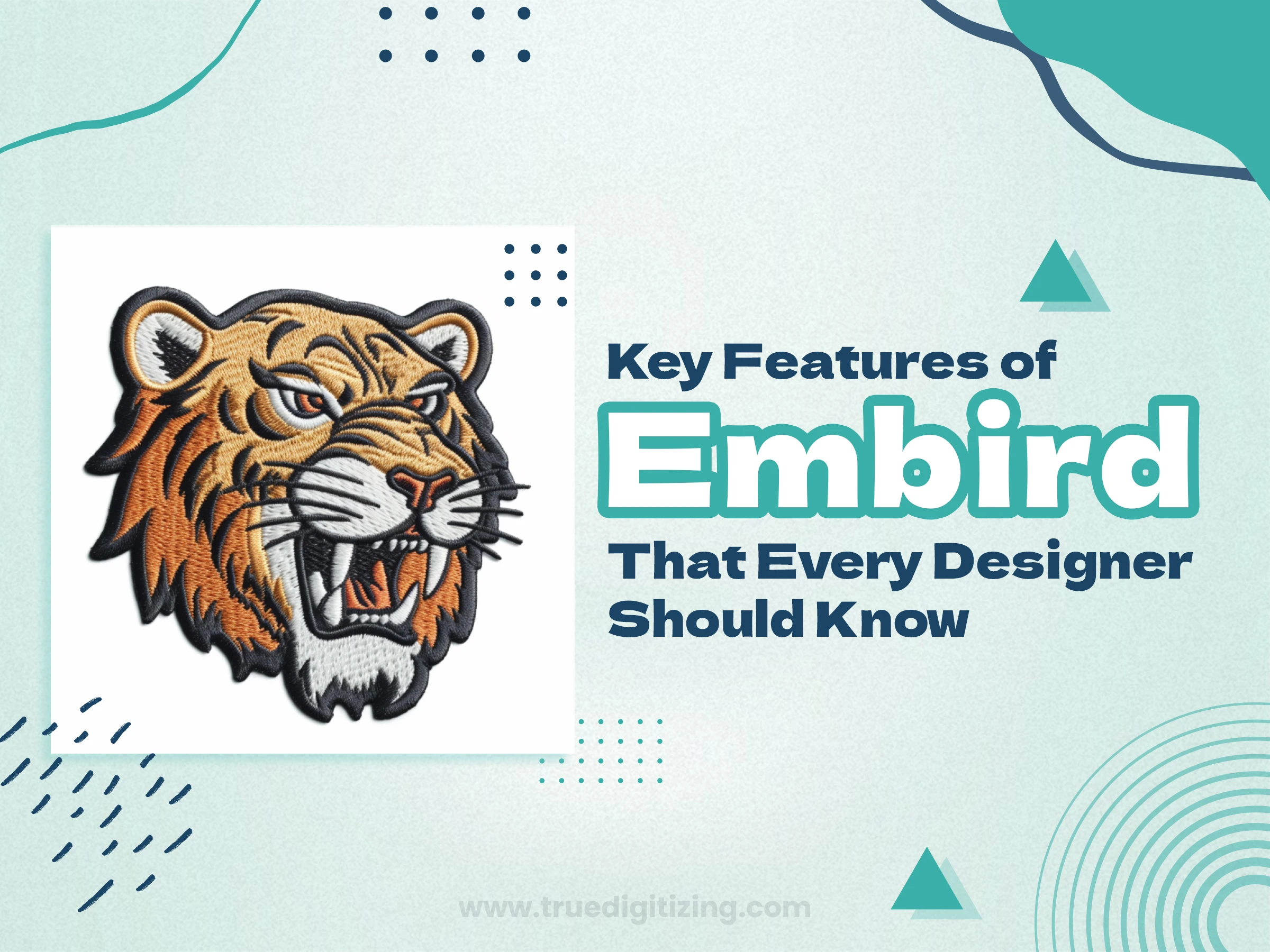 Key Features of Embird