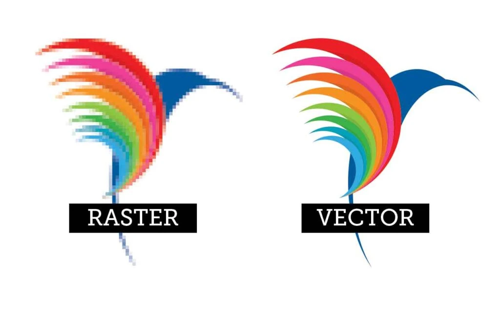 When to Choose Raster vs Vector