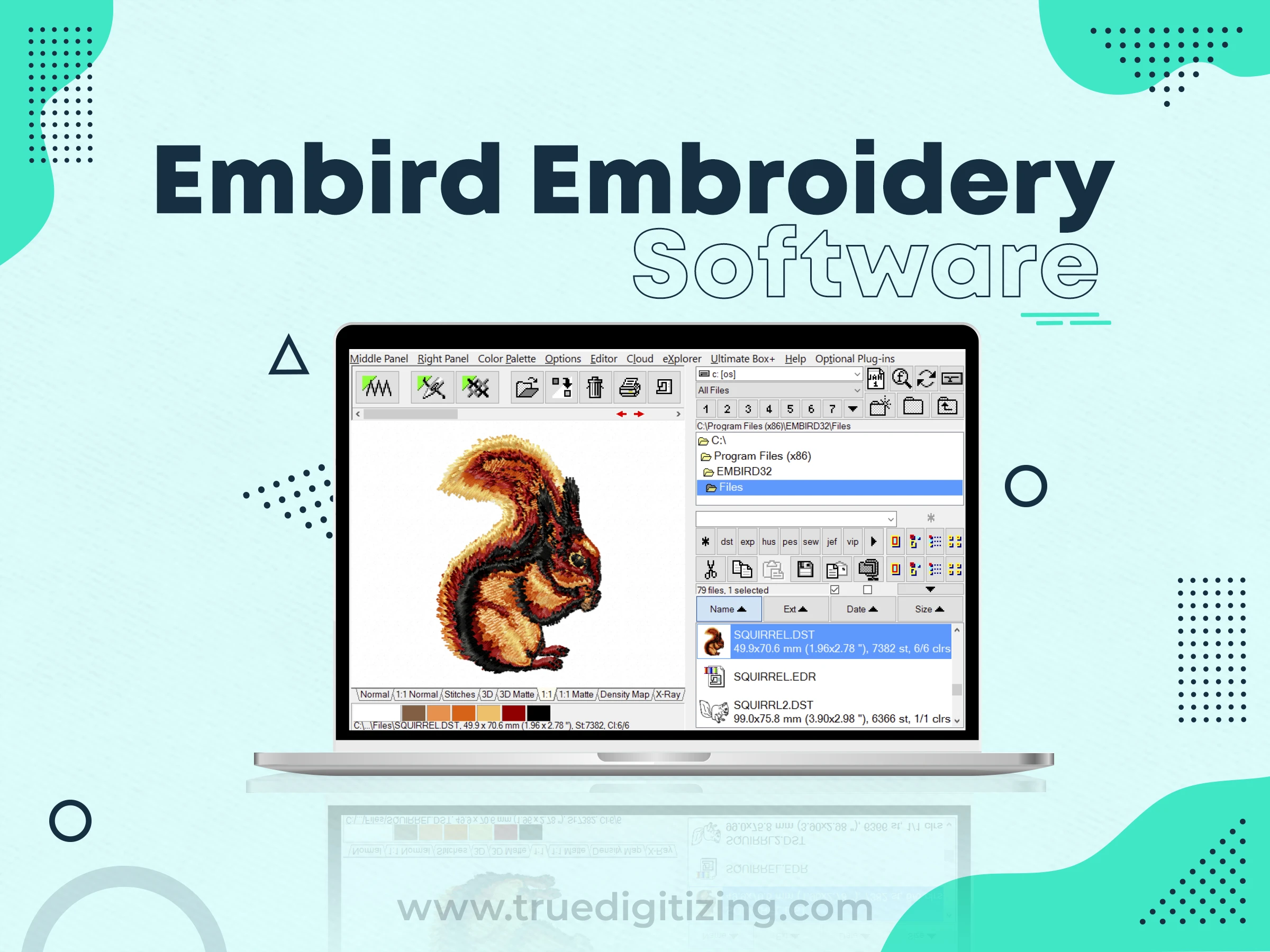 Embird Embroidery Software
