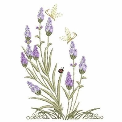 4. Lavender Blooms