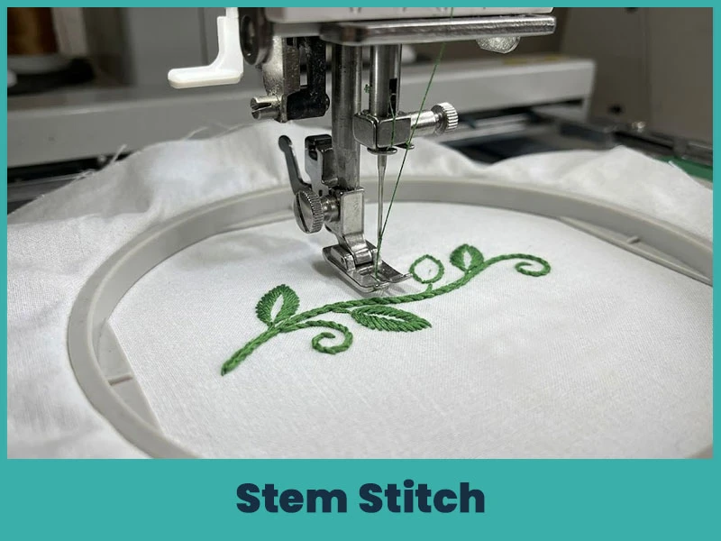 3. Stem Stitch
