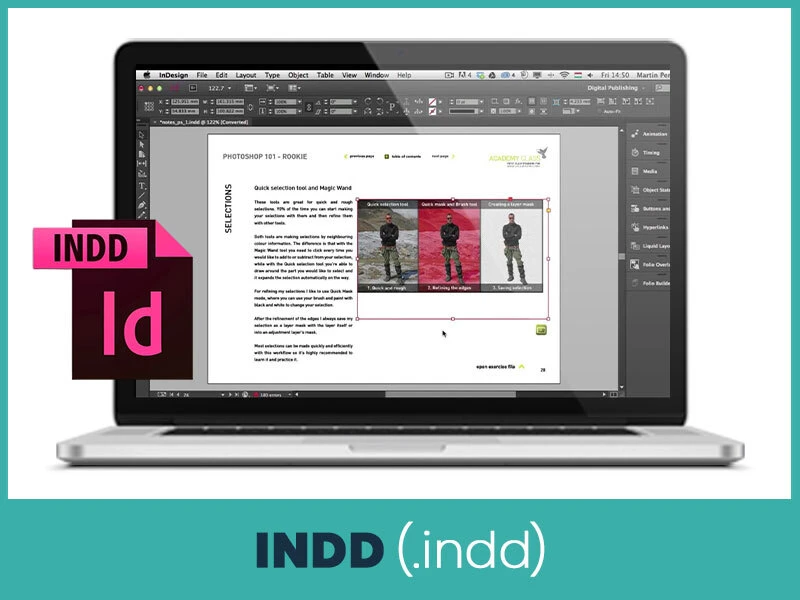 INDD (.indd)